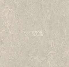 Кварцвиниловые полы Forbo Marmoleum Modular t3136 concrete фото 1 | FLOORDEALER